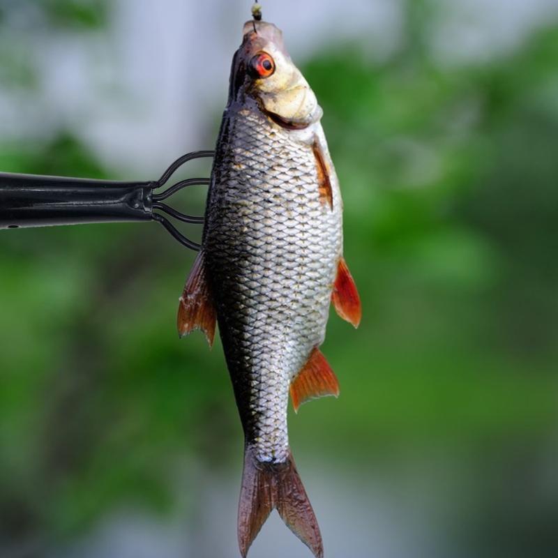 Fishing Rod Tip Replacement - R6FE ตกปลาส้อมเหล็กสปริงตกปลา Barbed PRONG Gaffs ตกปลาฉมวกตกปลา